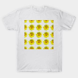 Sunny Disposition T-Shirt